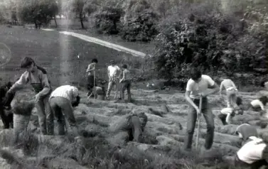 15-16.05.1986 r. - "Była łaka, będzie las"; uczniowie klas 8a i c sadzą drzewa