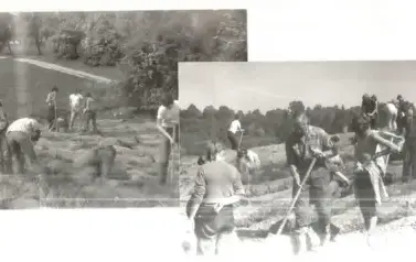 1985 r. - sadzenie lasu w Gołąbkach na rzecz Ligi Ochrony Przyrody