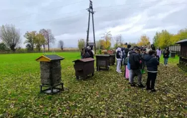 W Skansenie Pszczelarskim, Karczowiska G&oacute;rne, 28.10.2025 r.