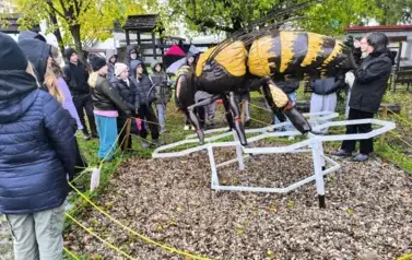 W Skansenie Pszczelarskim, Karczowiska G&oacute;rne, 28.10.2025 r.
