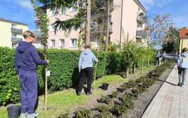 Sadzenie drzew przez klasę 7d, Pasłęk 8 maja 2026 r.