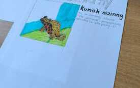 Praca wykonana w ramach Innowacji pedagogicznej "Zachwycający Świat Zwierząt" - List gończy za wybranym płazem
