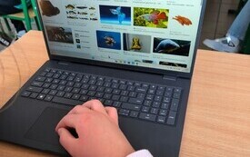 Ranking ryb, praca klasy 6a w ramach innowacji pedagogicznej "Zachwycający świat zwierząt", Pasłęk maj 2026 r.