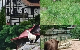 18.06.2026 r. wycieczka do Zoo,Oliwa. Klasa 1A i 1B