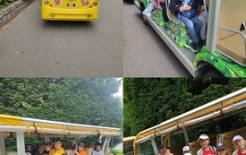 18.06.2026 r. wycieczka do Zoo,Oliwa. Klasa 1A i 1B.