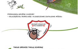 Baner_2