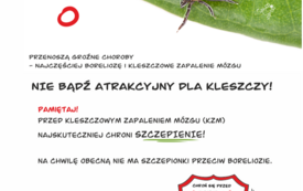 Baner_5
