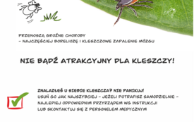 Baner_4