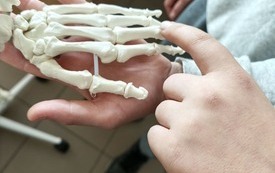Lekcja biologii w praktyce, Pasłek 24 września 2026 r.