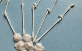 Lekcja biologii w praktyce, Pasłek 24 września 2026 r.