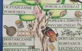 Prace plastyczne uczestnik&oacute;w konkursu "Drzewo - skarb życia", Pasłęk 23.10.2025 r.