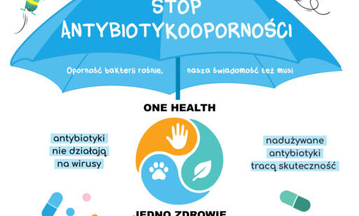 Światowy Tydzień Wiedzy o Antybiotykach