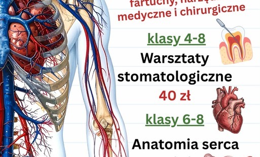 Plakat warsztatów anatomicznych